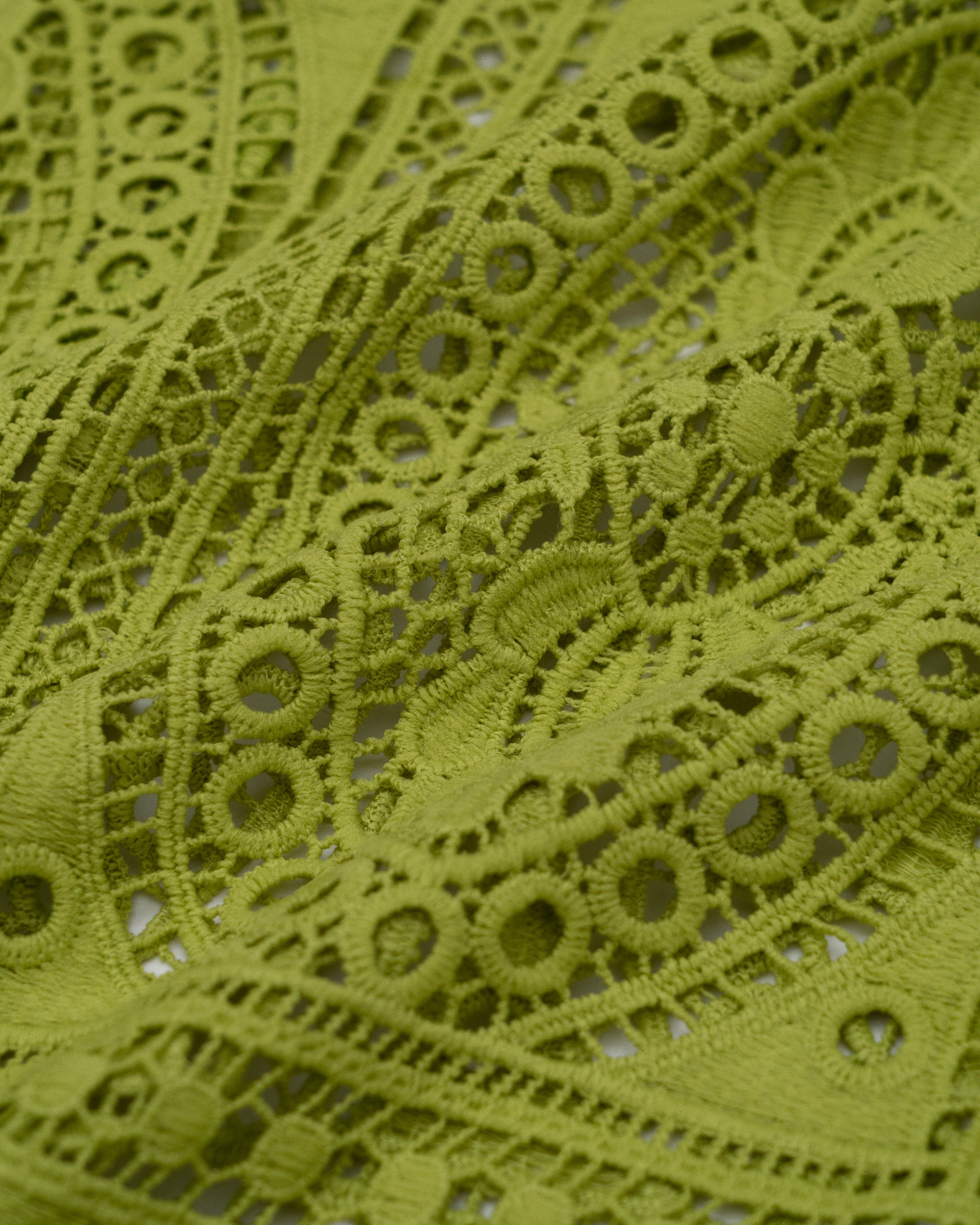 BOTÓN PAISLEY OLIVA